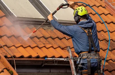 Démoussage et hydrofuge de toiture à Gaubertin